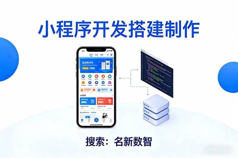 系统定制开发