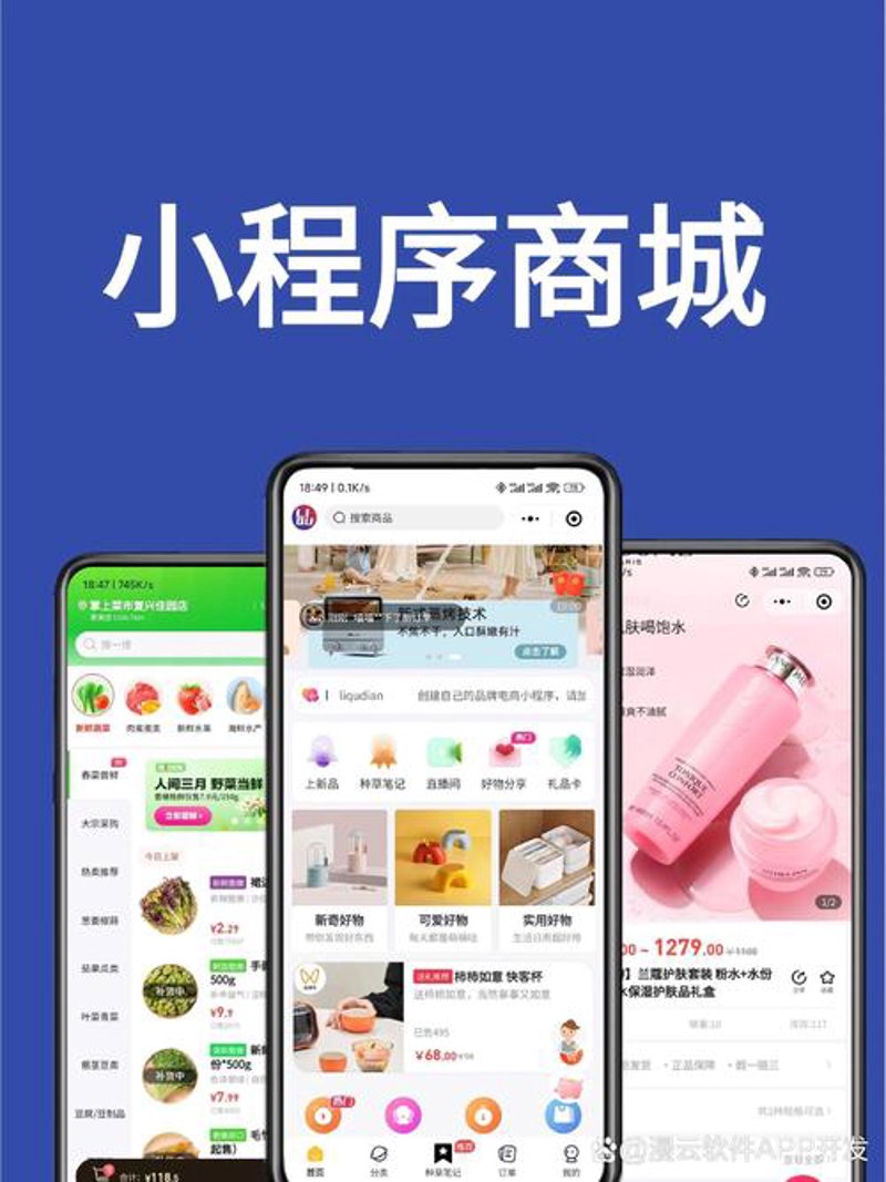 电商平台开发